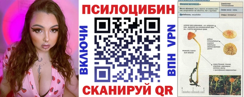 Галлюциногенные грибы Cubensis  хочу   блэк спрут вход  Коммунар 